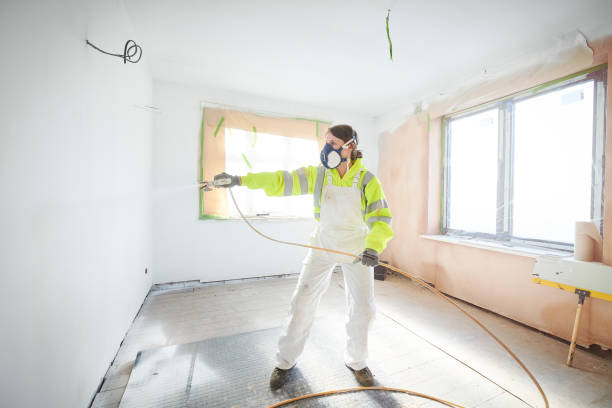 Mold Odor Removal Services in Penhook, VA